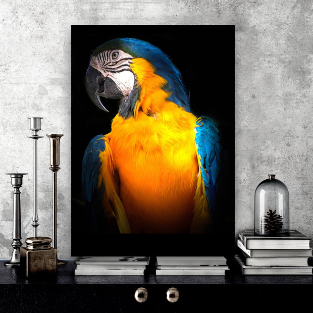 parrot Canvas Portrait