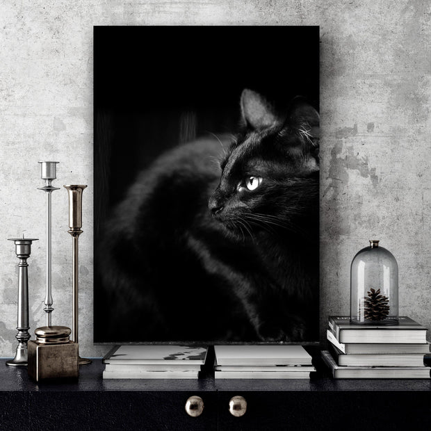 Black Cat Canvas Portrait