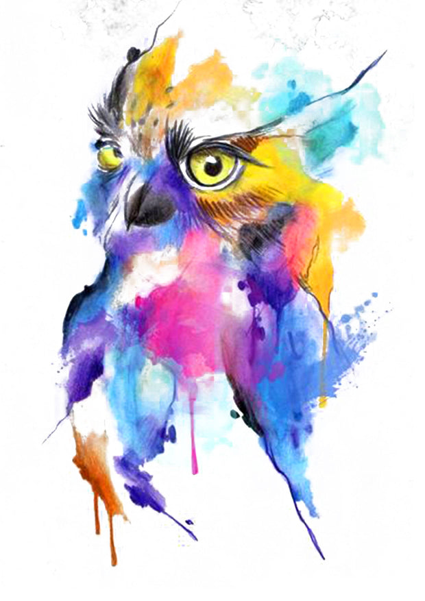 Owl Colorful T-shirt