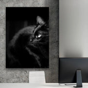Black Cat Canvas Portrait