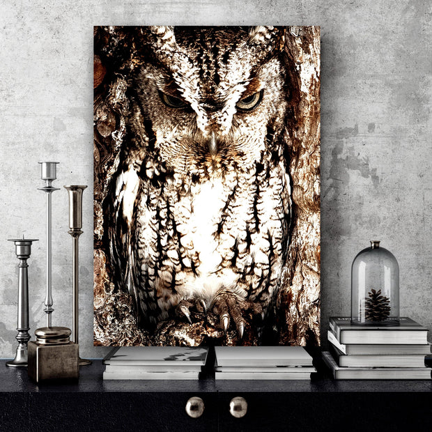 ANGRY OWL Canvas Portrait