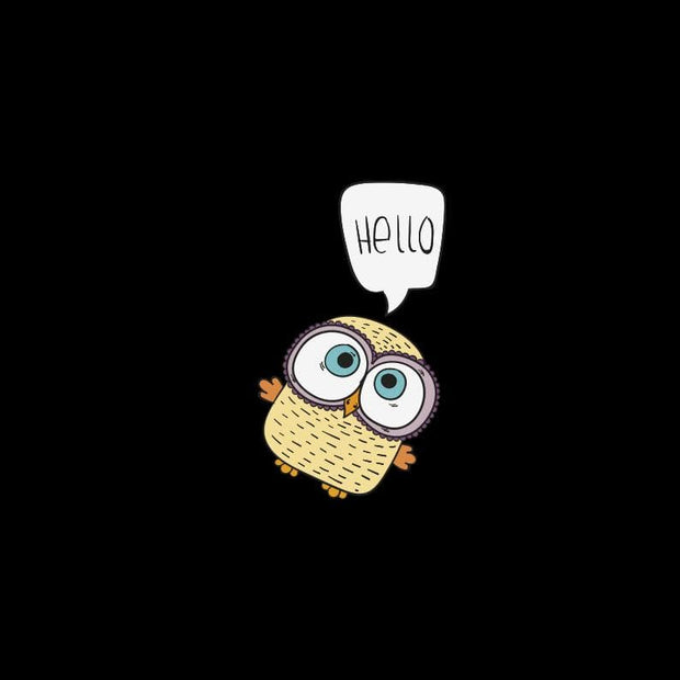 Owl Hello T-Shirt