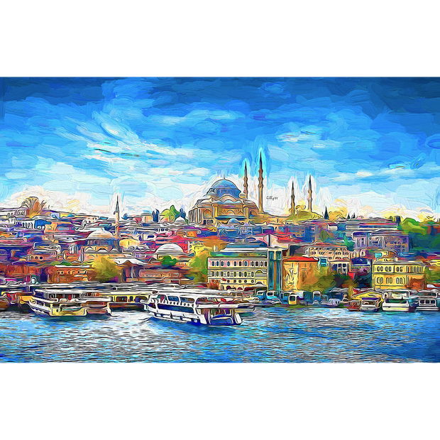 Turkey art Canvas Portrait
