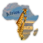 Africa giraffe T-Shirt