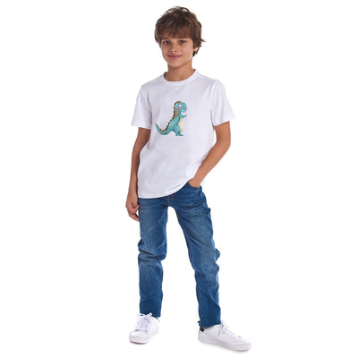 Funny dinosaur Boys T-shirt for kids
