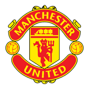 Manchester United logo T -shirt