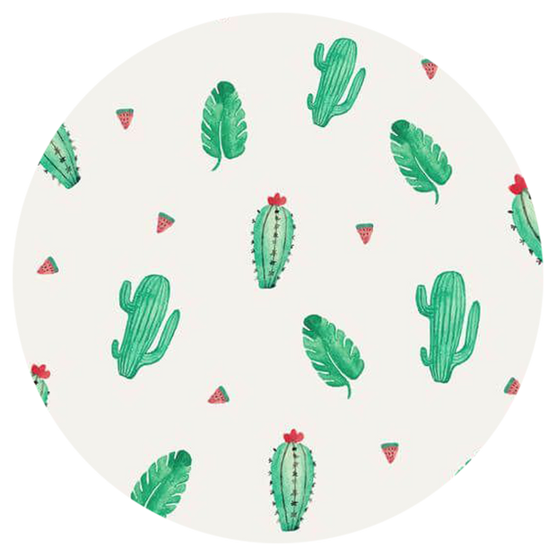 cactus Popsocket