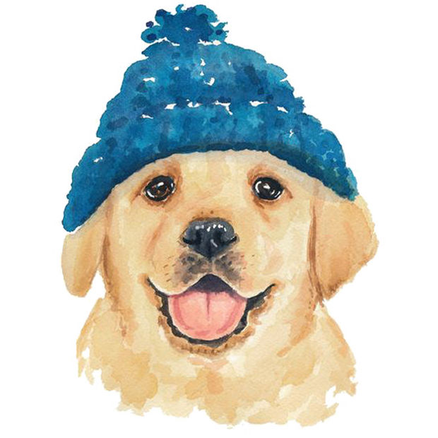Dog watercolor painting Hoodie