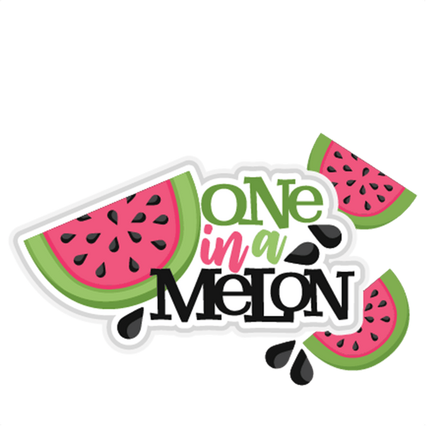 One in a melon T-Shirt