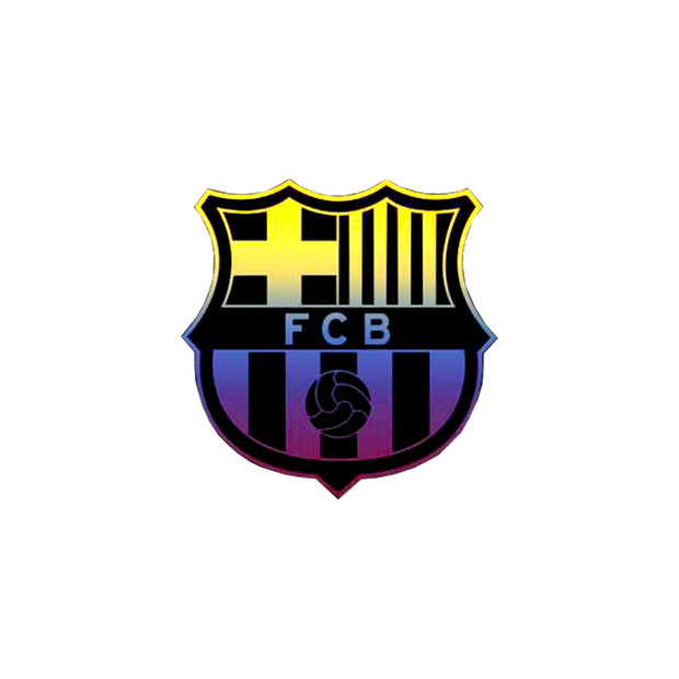 FCB colored logo hoodie