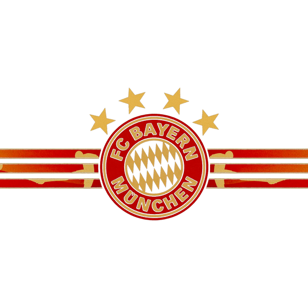 FC Bayern Munich Hoodie