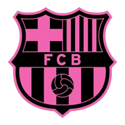 FCB logo Hoodie