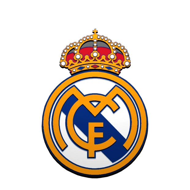 Real Madrid logo Hoodie